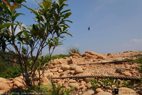 【苗栗。三義】熊熊烈火正在燃燒。惡地火炎山。亂石谷。自然保留區。火炎山步道