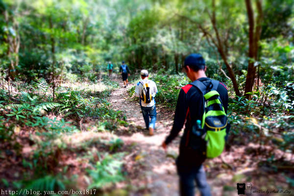 【苗栗。三義】熊熊烈火正在燃燒。惡地火炎山。亂石谷。自然保留區。火炎山步道