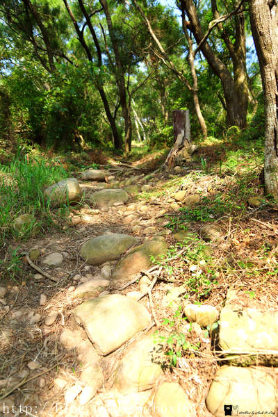 【苗栗。三義】熊熊烈火正在燃燒。惡地火炎山。亂石谷。自然保留區。火炎山步道