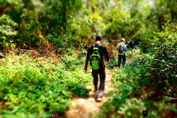 【苗栗。三義】熊熊烈火正在燃燒。惡地火炎山。亂石谷。自然保留區。火炎山步道