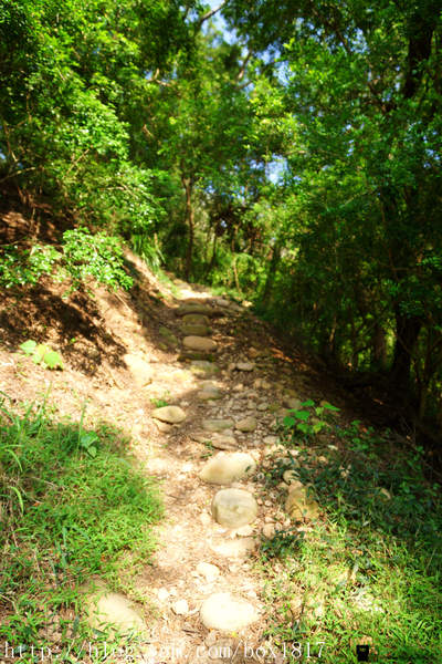 【苗栗。三義】熊熊烈火正在燃燒。惡地火炎山。亂石谷。自然保留區。火炎山步道