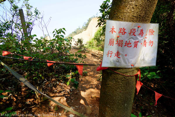 【苗栗。三義】熊熊烈火正在燃燒。惡地火炎山。亂石谷。自然保留區。火炎山步道