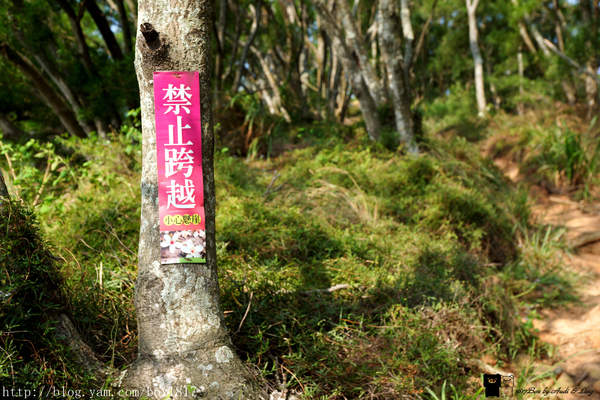 【苗栗。三義】熊熊烈火正在燃燒。惡地火炎山。亂石谷。自然保留區。火炎山步道