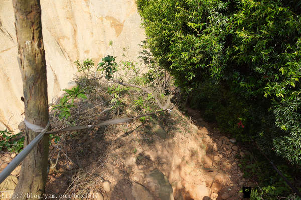 【苗栗。三義】熊熊烈火正在燃燒。惡地火炎山。亂石谷。自然保留區。火炎山步道
