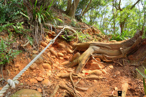 【苗栗。三義】熊熊烈火正在燃燒。惡地火炎山。亂石谷。自然保留區。火炎山步道