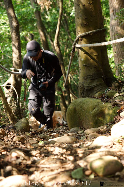 【苗栗。三義】熊熊烈火正在燃燒。惡地火炎山。亂石谷。自然保留區。火炎山步道