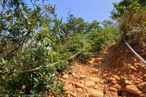 【苗栗。三義】熊熊烈火正在燃燒。惡地火炎山。亂石谷。自然保留區。火炎山步道