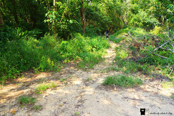 【苗栗。三義】熊熊烈火正在燃燒。惡地火炎山。亂石谷。自然保留區。火炎山步道