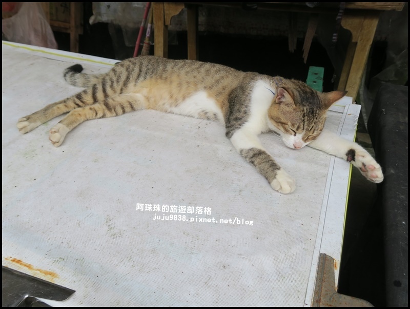 泰安輕旅行153.JPG