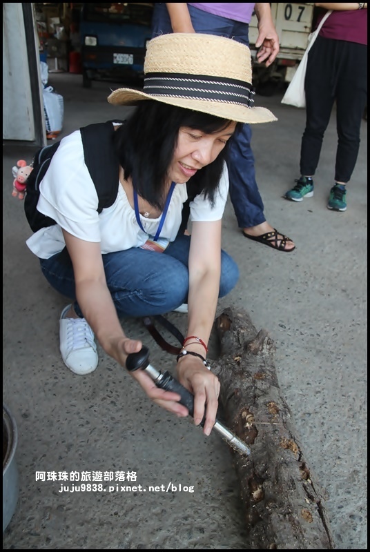 泰安輕旅行13.JPG