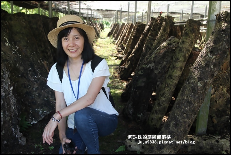 泰安輕旅行12.JPG