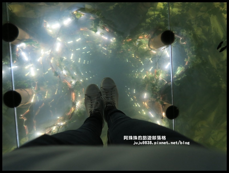 泰安輕旅行112.JPG
