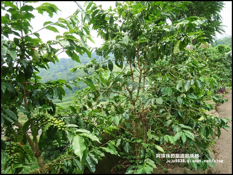 泰安輕旅行66.JPG