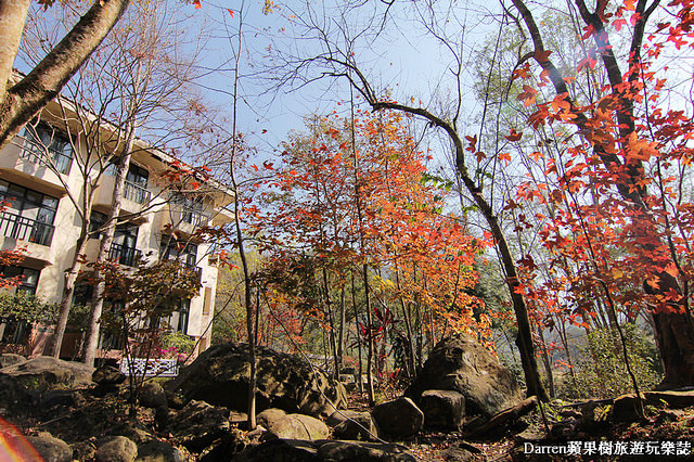 『苗栗泰安溫泉泡湯推薦』虎山溫泉會館(湯之島)★走過吊橋來去湯之島泡溫泉吃鱘龍魚火鍋順遊清安豆腐街(清水老街)