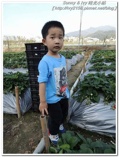 28907174_1865106380168373_180408839_n 28907174_1865106380168373_180408839_n