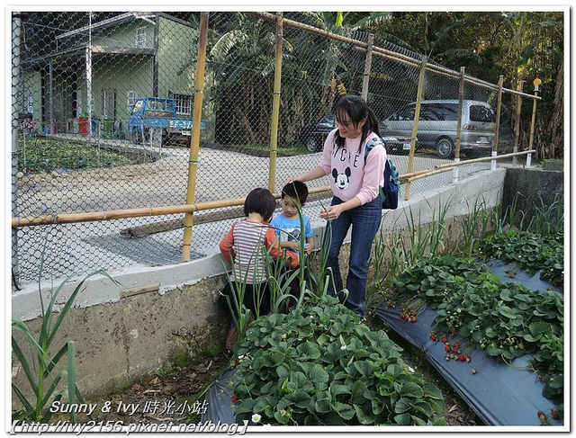 28741437_1865106636835014_730384668_n 28741437_1865106636835014_730384668_n