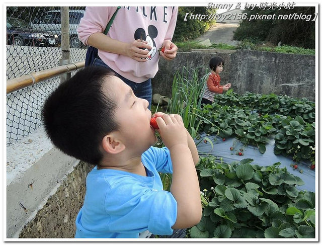 28741293_1865106666835011_1390651719_n 28741293_1865106666835011_1390651719_n