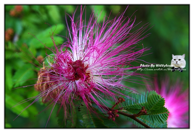 五月某日南庄新竹亂遊遊記(下)