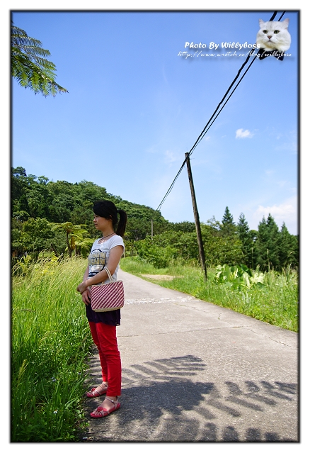 五月某日南庄新竹亂遊遊記(下)