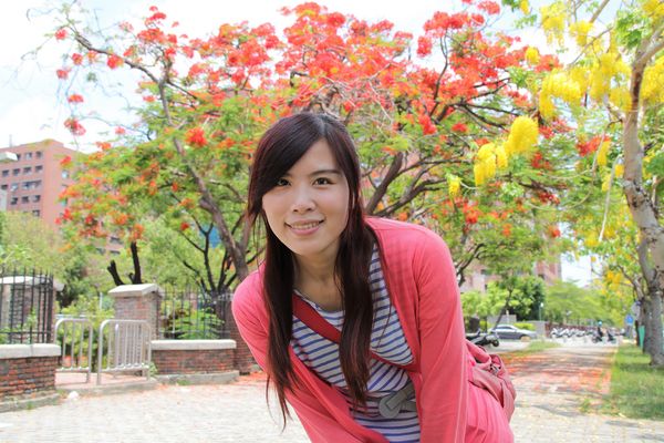 成功大學阿勃勒花海:【台南景點】成功大學自強校區~阿勃勒鳳凰花齊開,兩花合奏耀眼奪目美艷動人~把握花期來欣賞美景