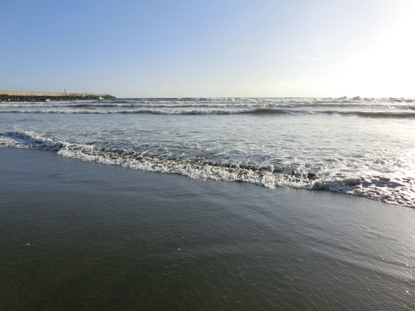 觀夕平台：觀夕平台