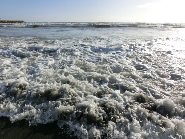 觀夕平台：觀夕平台