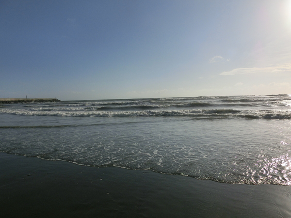 觀夕平台：觀夕平台