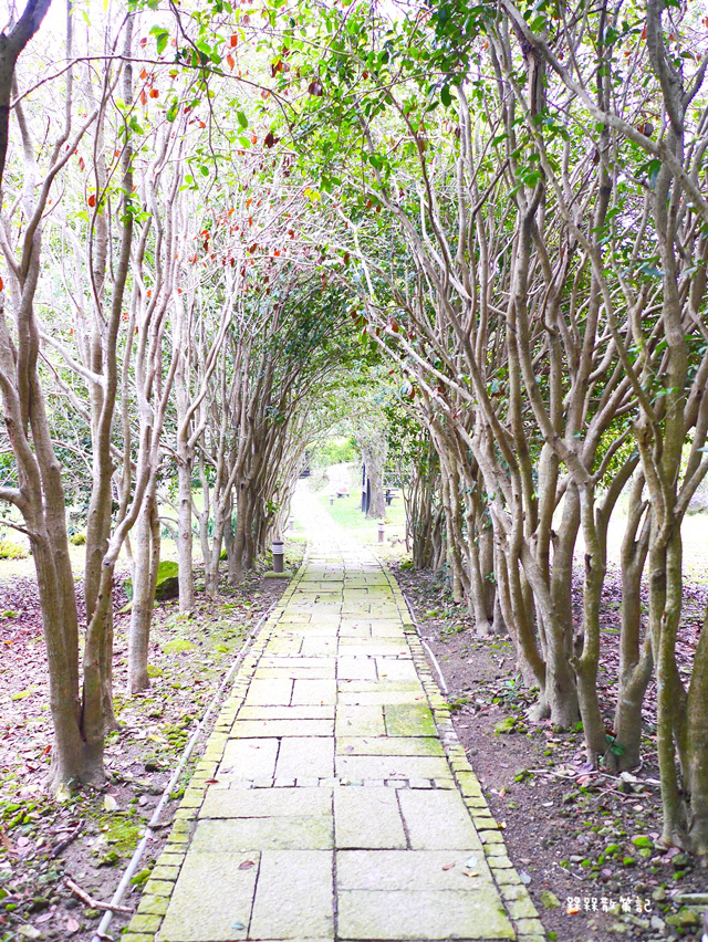 特搜西拉雅關子嶺魅力景點!深度漫遊之旅10選