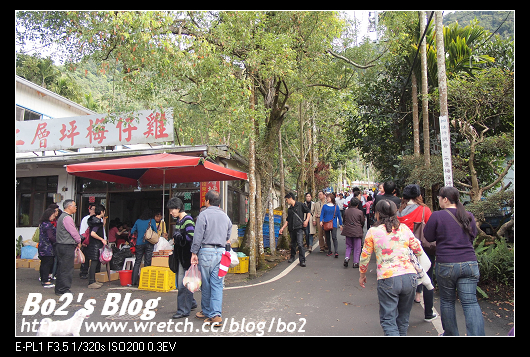 台南.楠西-梅嶺追梅去(西拉雅國家風景區內)