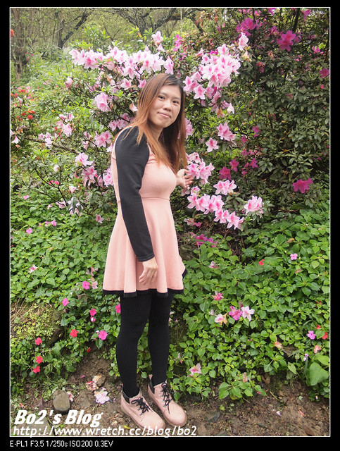 台南.楠西-梅嶺追梅去(西拉雅國家風景區內)