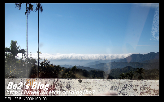 台南.楠西-梅嶺追梅去(西拉雅國家風景區內)