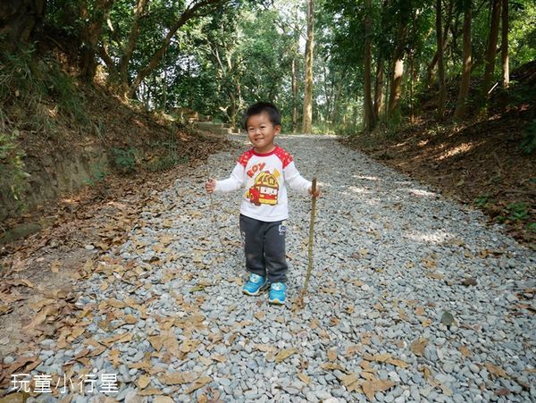 新化林場16.JPG