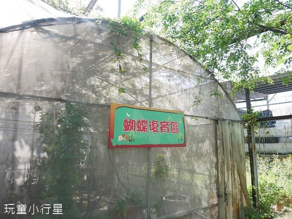 亞力山大蝴蝶生態教育農場4.JPG