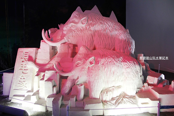 IMG_1385.jpg IMG_1385.jpg