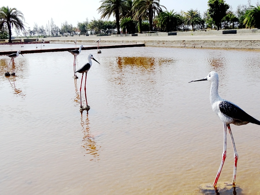 DSC02070.JPG DSC02070.JPG