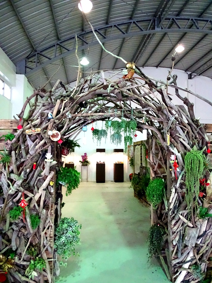 DSC02018.JPG DSC02018.JPG