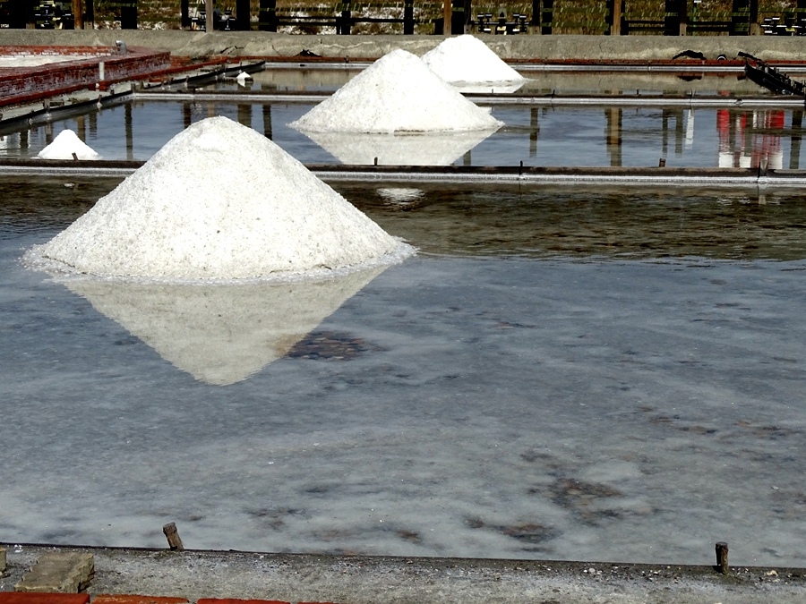 DSC02078.JPG DSC02078.JPG