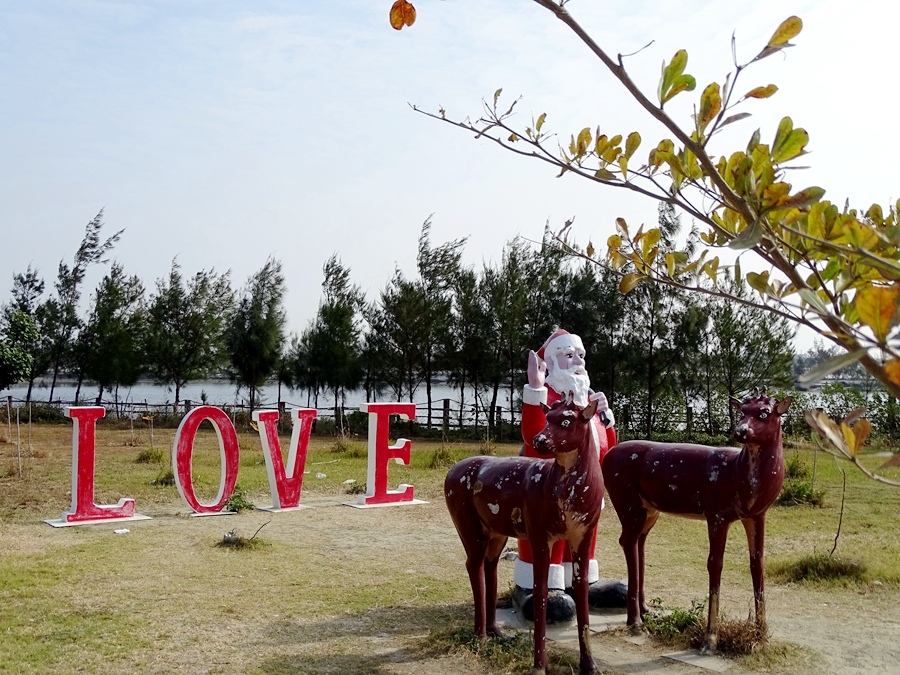 DSC01986.JPG DSC01986.JPG