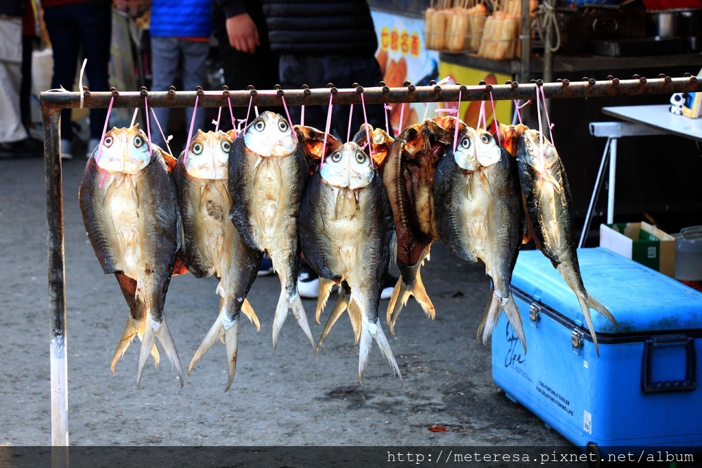 IMG_7519.JPG IMG_7519.JPG