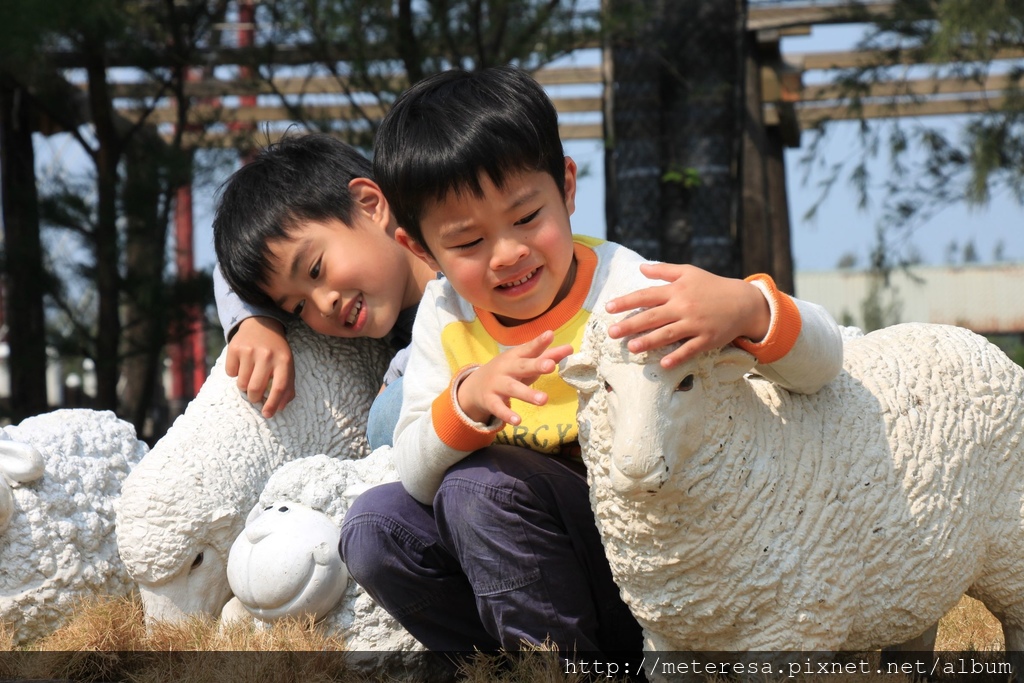 IMG_7381.JPG IMG_7381.JPG