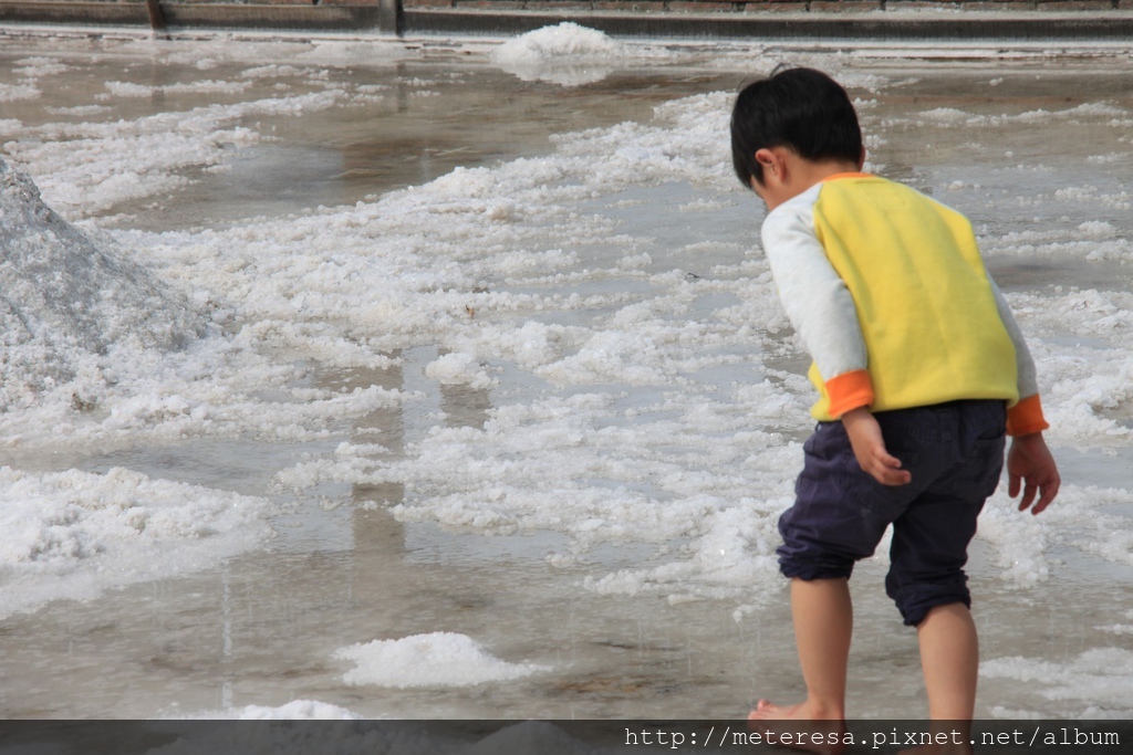 IMG_7452.JPG IMG_7452.JPG