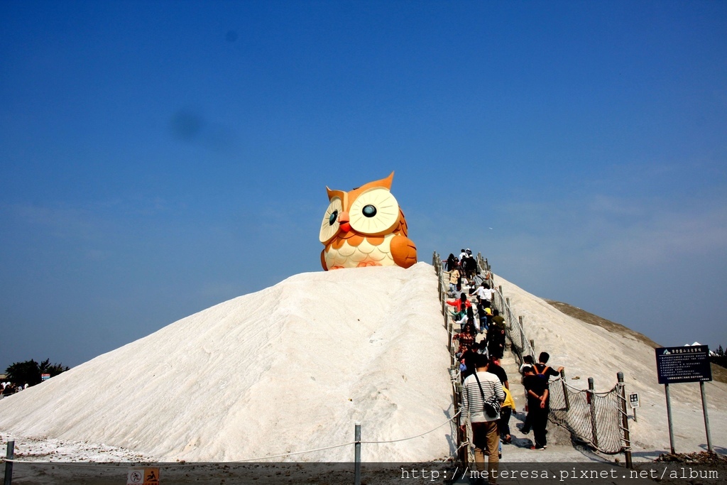 IMG_7313.JPG IMG_7313.JPG