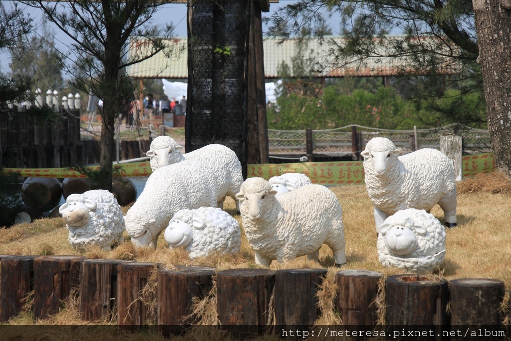 IMG_7373.JPG IMG_7373.JPG