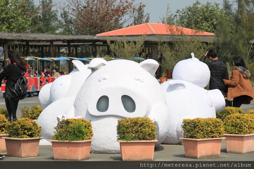 IMG_7370.JPG IMG_7370.JPG