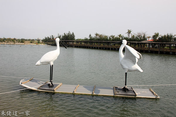 IMG_0986.jpg IMG_0986.jpg