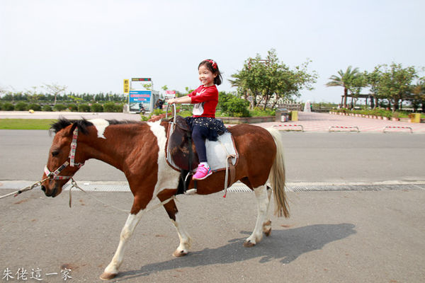 IMG_1009.jpg IMG_1009.jpg