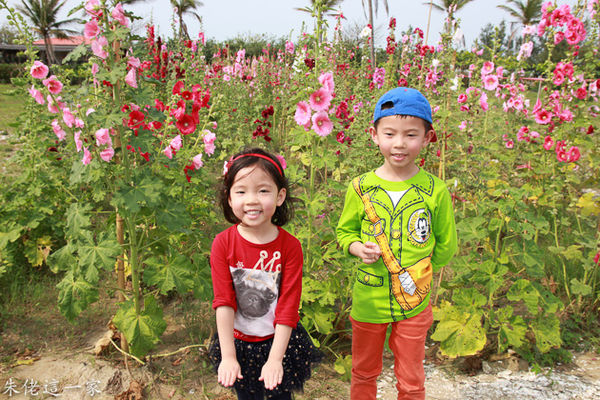 IMG_0955.jpg IMG_0955.jpg