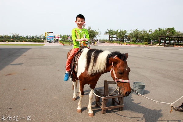 IMG_0998.jpg IMG_0998.jpg