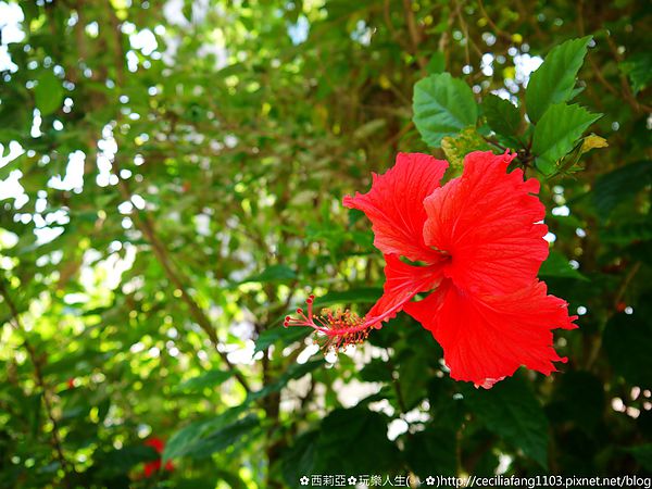 P1140434.jpg P1140434.jpg