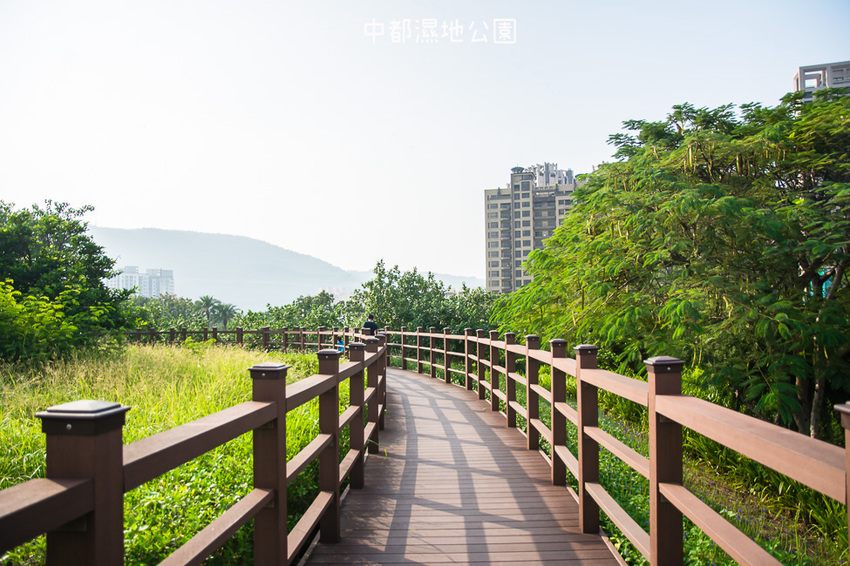 ｜高雄景點｜中都濕地公園，隱身在都市裡的濕地，這裡也有一個龍貓小隧道 - 阿婷的旅行札記。